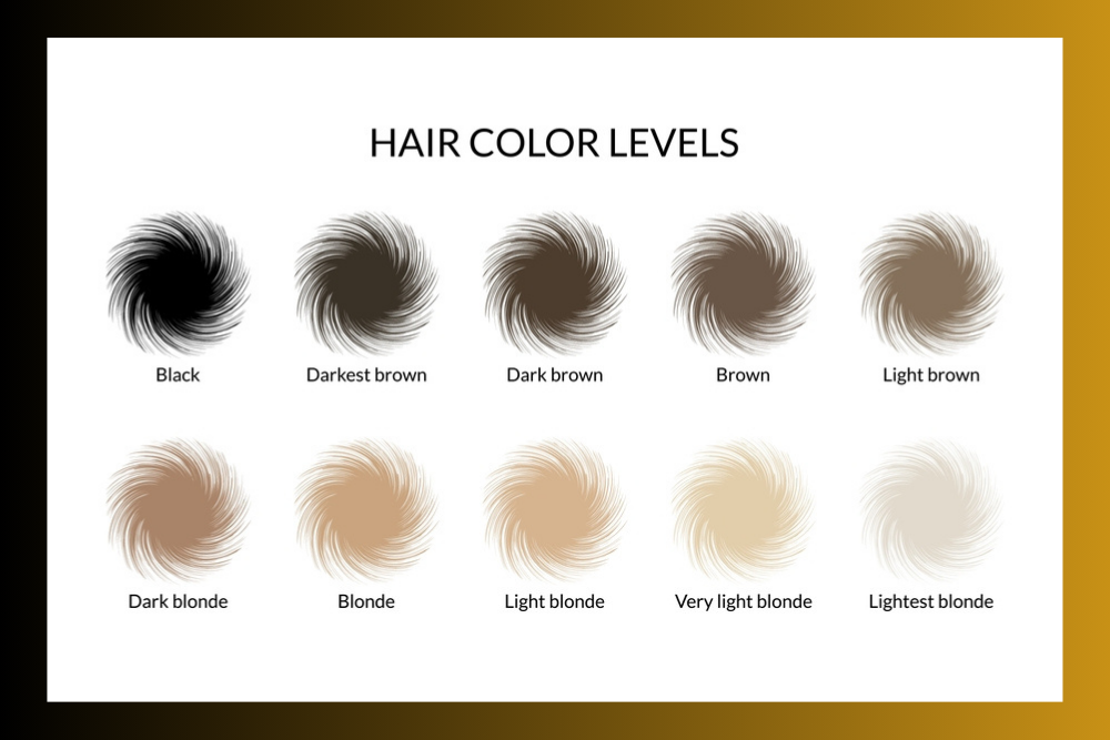 Hair Color Levels: A Detailed Guide 2023