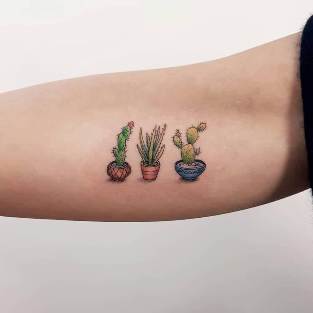 Bold Cactus Tattoo: american traditional tattoo