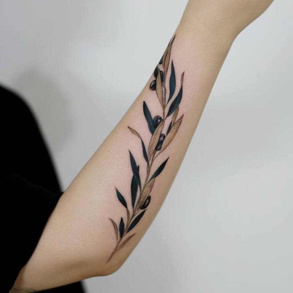 Olive Branches Tattoo - A Classy Art for You To Flaunt!