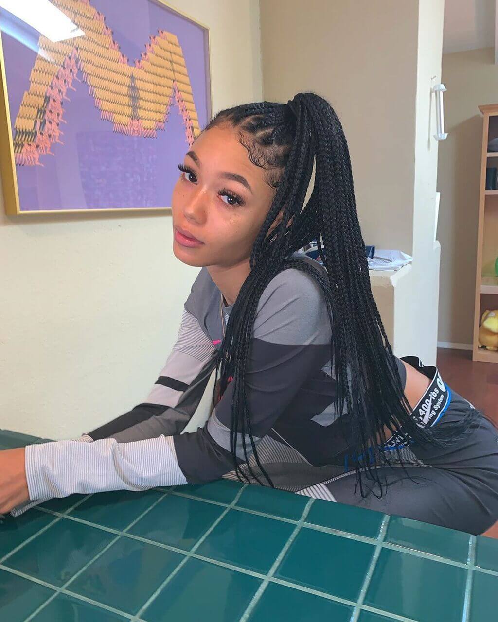 coi leray braids hairstyle