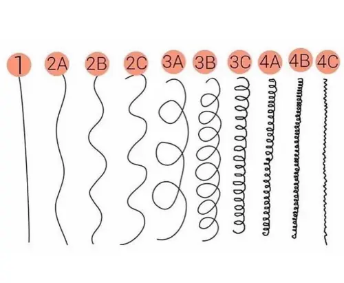 Let's Take a Closer Look at Each Hair Type