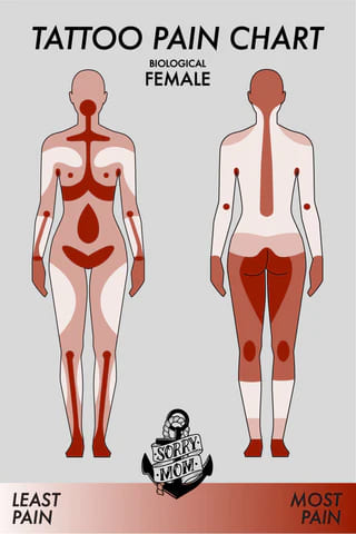 Tattoo Pain Chart: Least & Most Painful Spots Male & Female